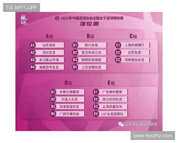 中国与威尔士足球对决彩票投注分析及预测策略分享